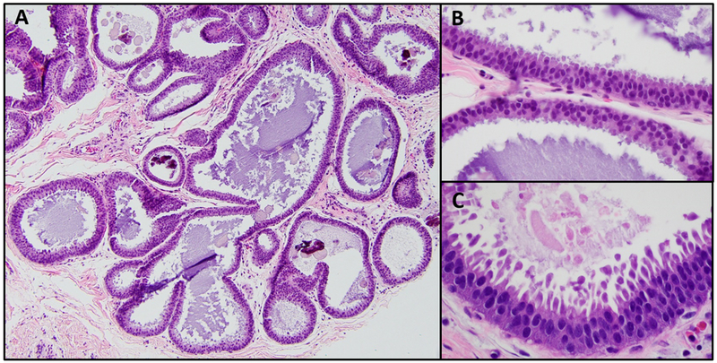 Figure 1: