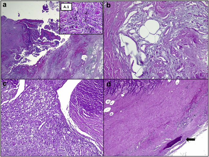 Figure 6