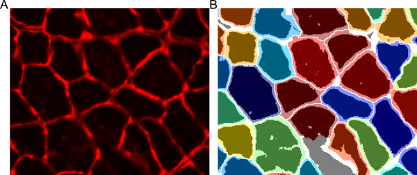 Figure 10