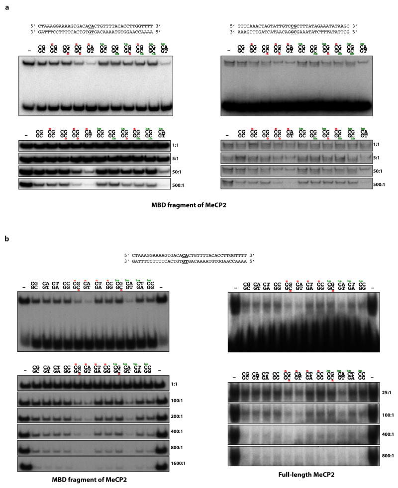 Extended Data Figure 3