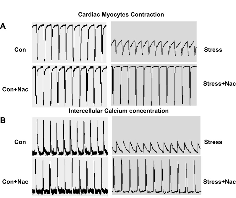 Fig. 12.