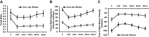 Fig. 11.