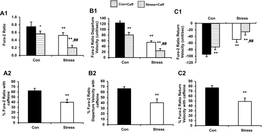 Fig. 9.