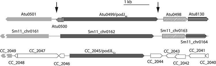 FIG 1