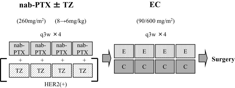 Fig. 1