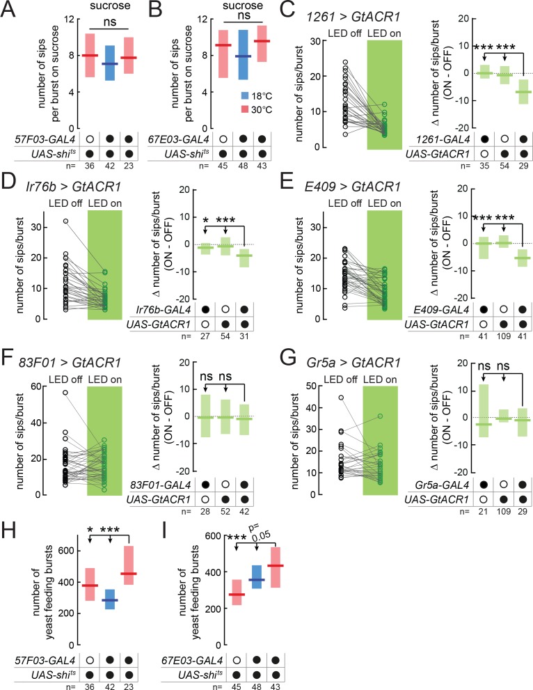 Figure 3—figure supplement 1.