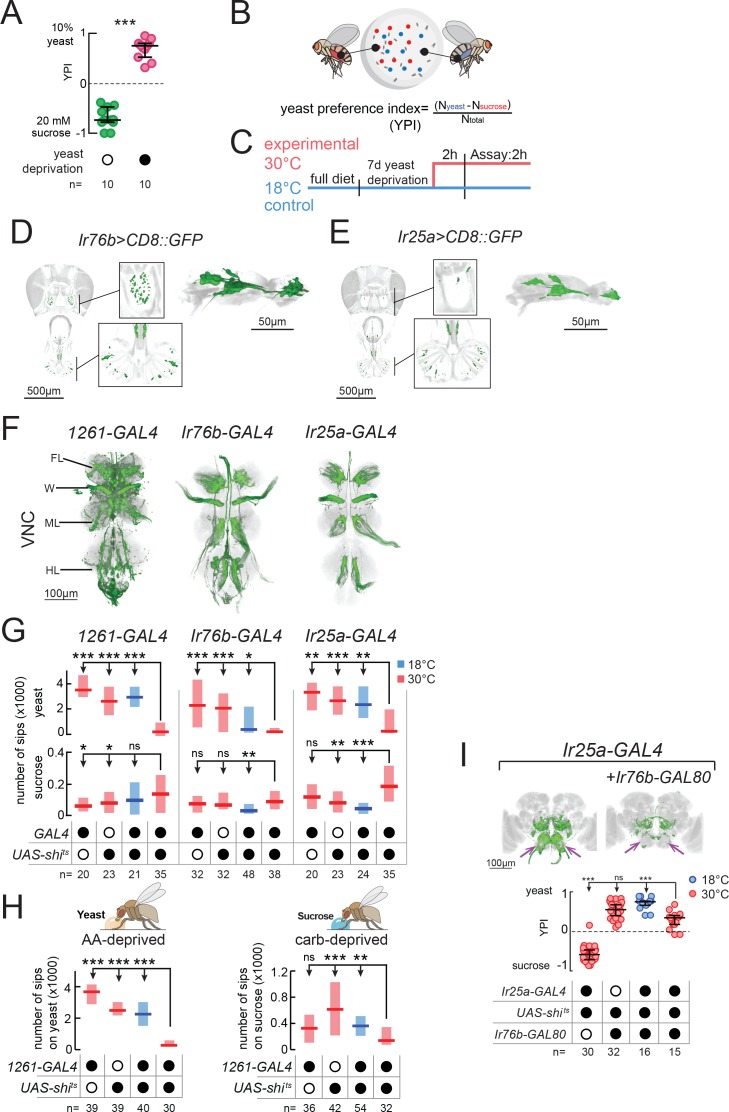 Figure 1—figure supplement 2.