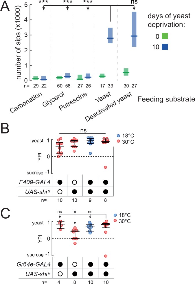 Figure 1—figure supplement 1.