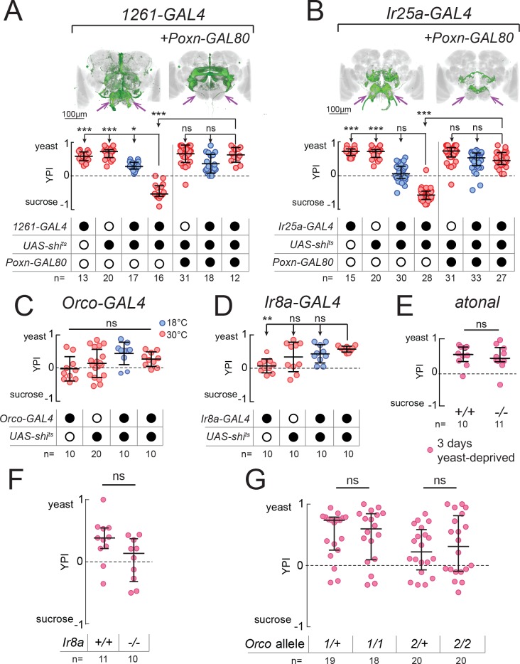 Figure 2—figure supplement 1.