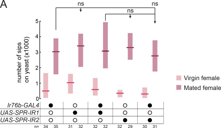 Figure 6—figure supplement 1.