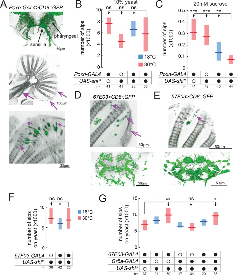 Figure 2—figure supplement 2.