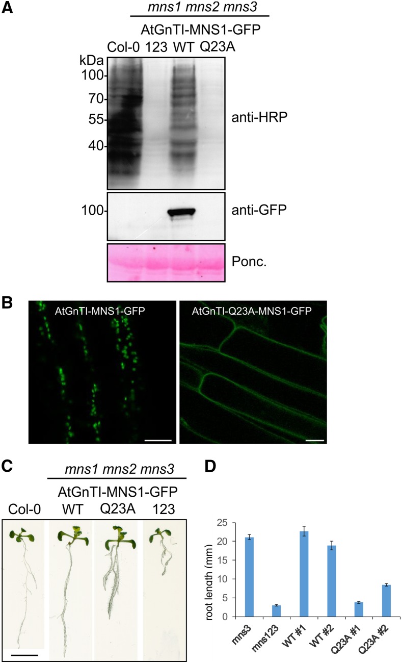 Figure 6.