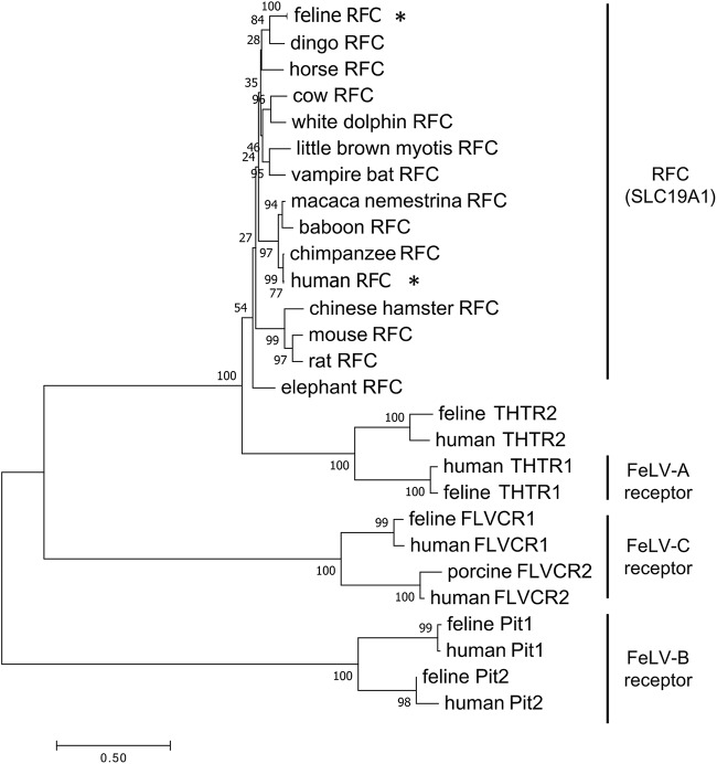 FIG 6