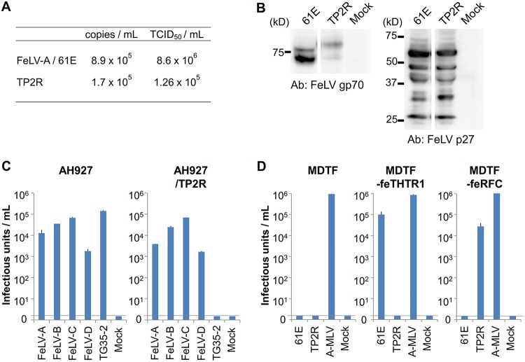 FIG 10