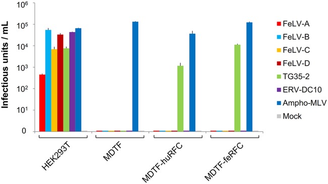 FIG 2