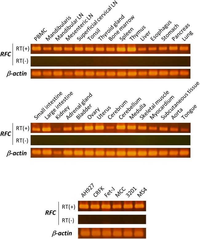 FIG 7