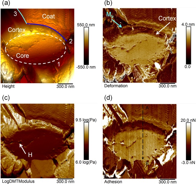 FIG 4