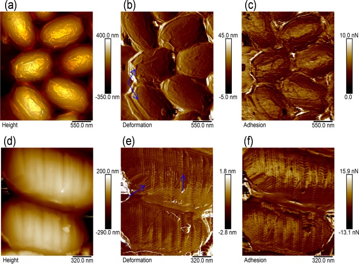 FIG 2