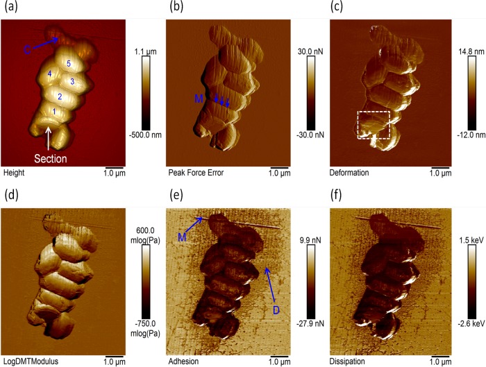 FIG 3