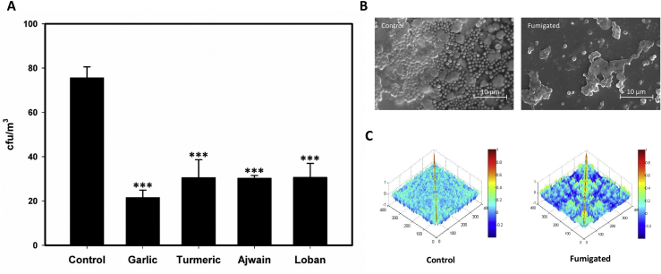 Fig. 1