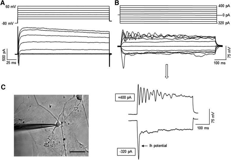 FIG. 4.