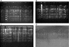 FIG. 2.