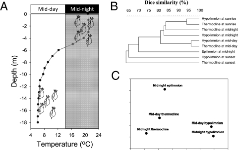 Fig. 3.