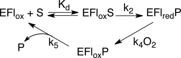 Scheme 3