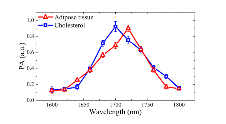 Fig. 8