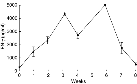 Fig. 5