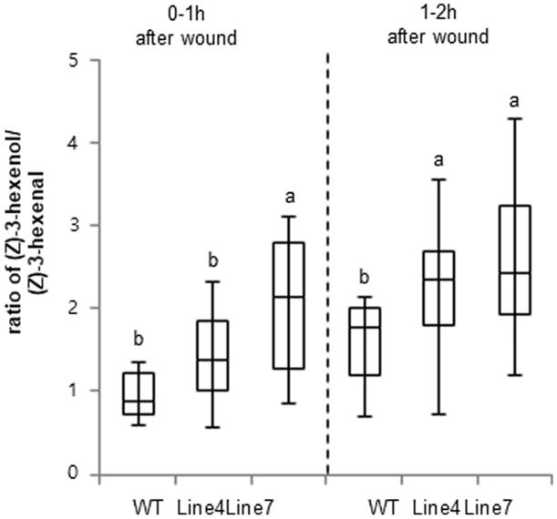 FIGURE 4