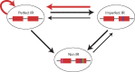 <sc>Fig</sc>. 6.