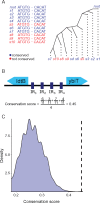 <sc>Fig</sc>. 4.