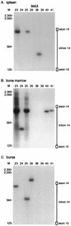 FIG. 7