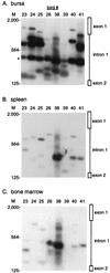 FIG. 3