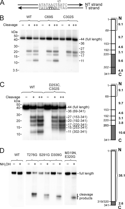 FIGURE 6.