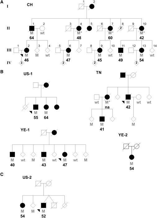 Figure 1