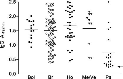 FIG. 2.