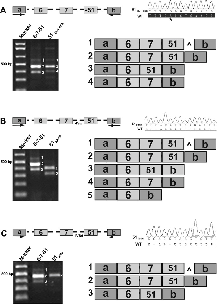 Fig. 6