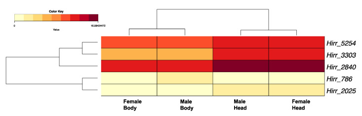 Figure 5