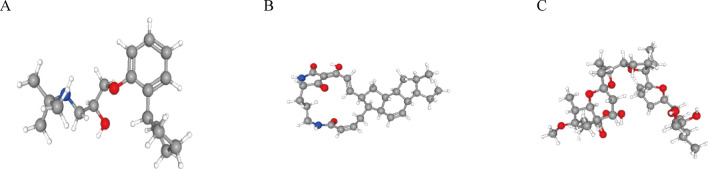 Fig. 11