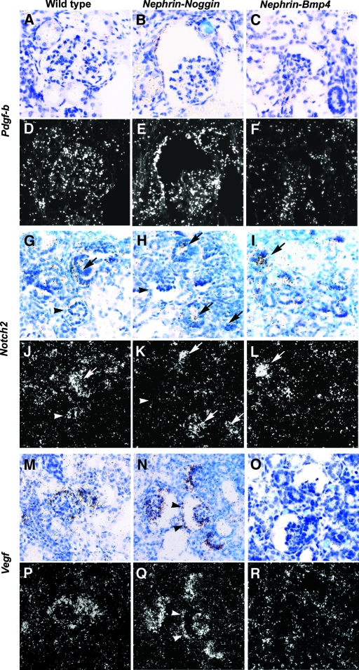 Figure 10.