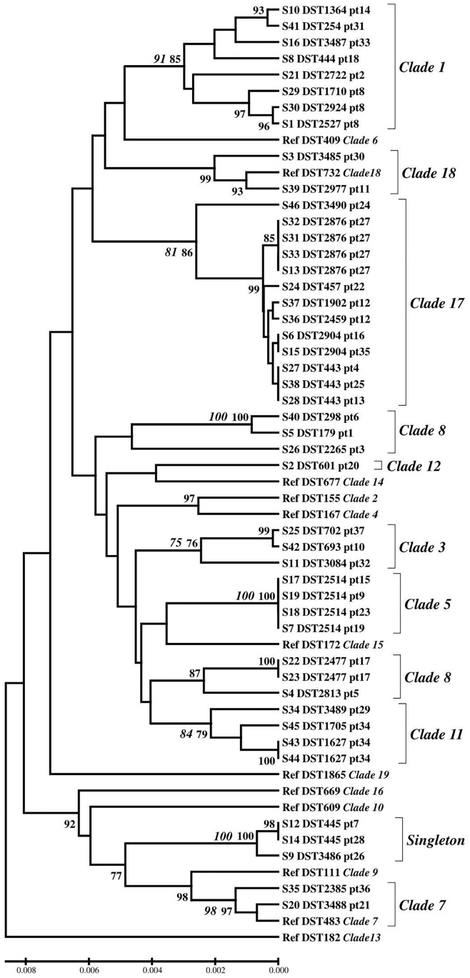 FIGURE 1