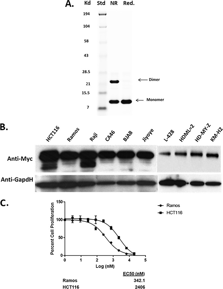 FIG 1