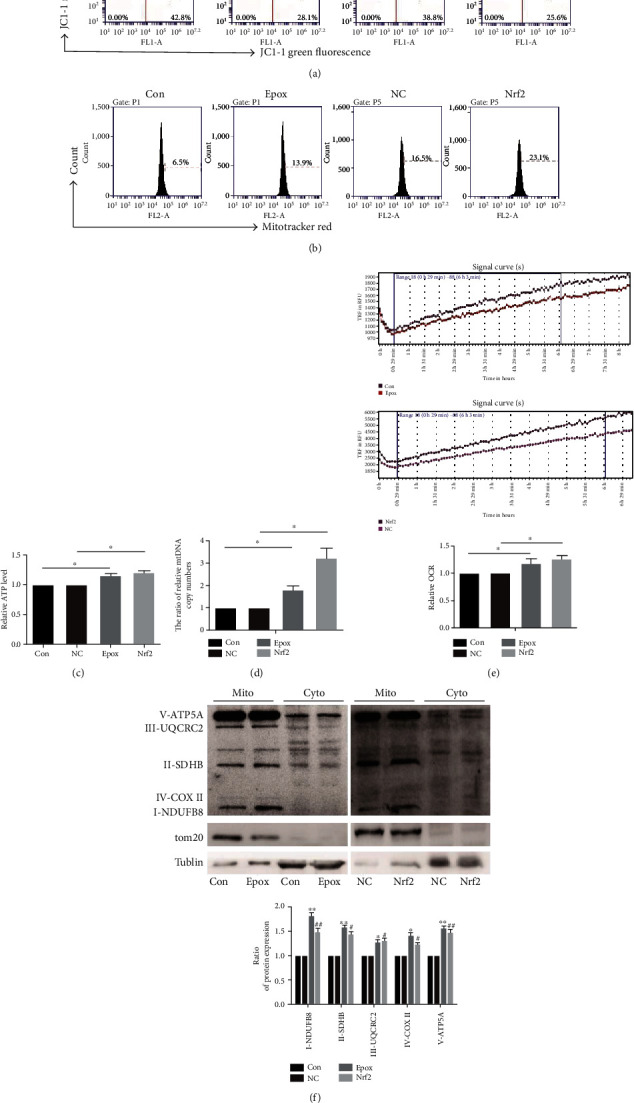 Figure 6