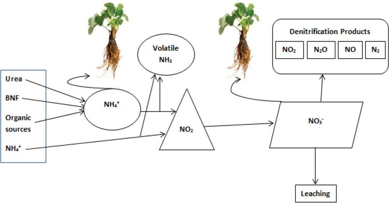 Fig. 4