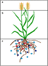 Fig. 2