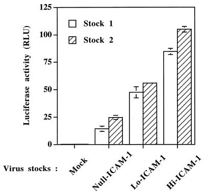 FIG. 1