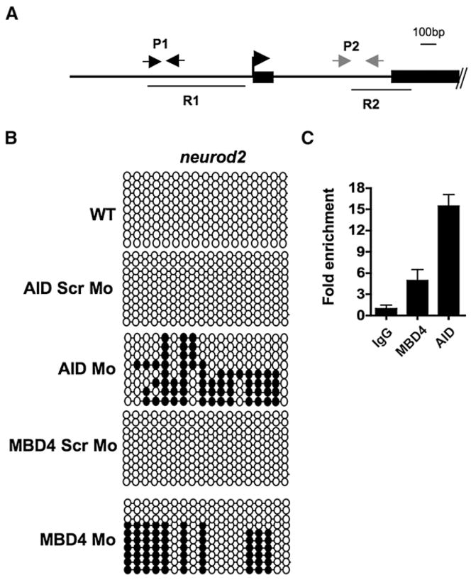 Figure 6