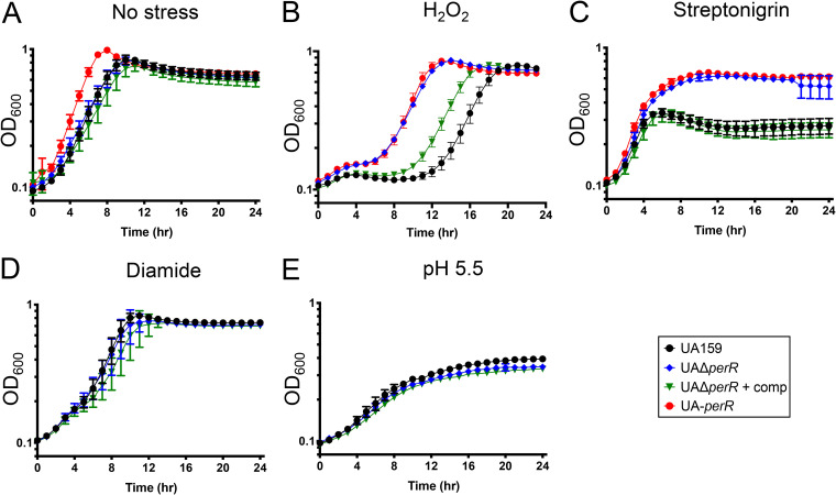 FIG 2